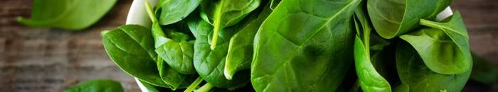 فوائد الجرجير .. تعرف عليها 10 جرجير