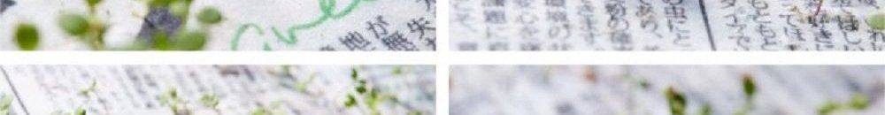 صحيفة يابانية تتحوّل إلى نباتات بعد قراءتها 10 صحيفة تتحول الي نباتات