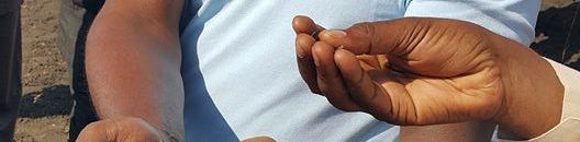 وجدي ميرغني محجوب