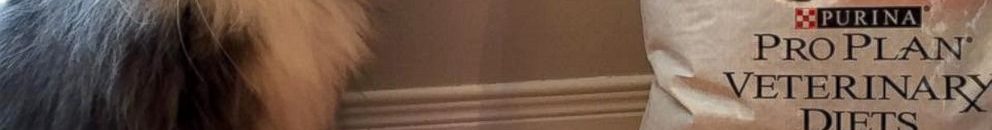 116d975f a26e 4ba9 b376 6be2cafc509c