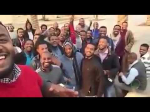 شباب مبدع: يا جميل يا جميل يا سادة.. حبك جنني زيادة.. فيديو 1 12827256