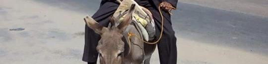 15027834 1146452945409832 4589791651550396855 n 2