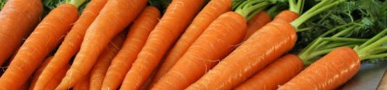 هذه هي حقيقة مقولة "الجزر بيقوي النظر" 10 586