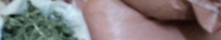 بالصور.. قوات مكافحة التهريب بقوات الجمارك تتمكن من ضبط عدد(١٤٥) كيلو من المخدرات بالبحر الاحمر 10 7878