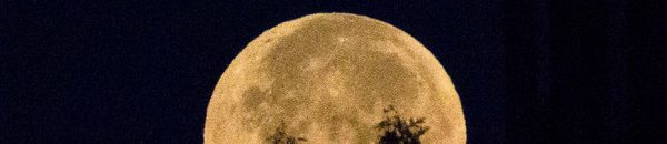 اكتشاف طريقة لاستخراج الماء على سطح القمر 10 ebbeab30 fc99 4efd adbb 58183743e64a 16x9 600x338