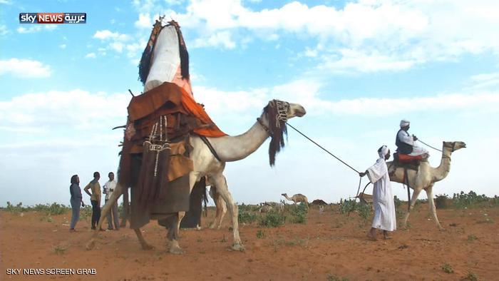 الهودج السودان غرب كردفان دارفور السودان