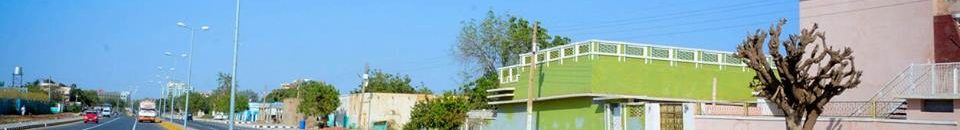 مجلس حكومة ولاية الجزيرة: ميزانية حرب لدعم القوات المسلحة 10 الجزيرة4