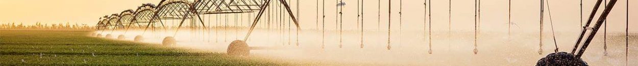 التحالف: ما يحدث بمشروع الجزيرة والمناقل (جريمة) 10 87878 1