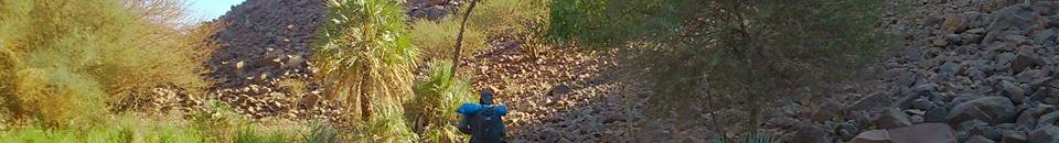 ورشة تدريبية بمنطقة السبلوقة 10 السبلوقة4