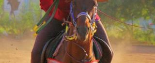 صور مساعد رئيس الجمهورية يجري تمارين إلتقاط الاوتاد 13 اوتاد 1