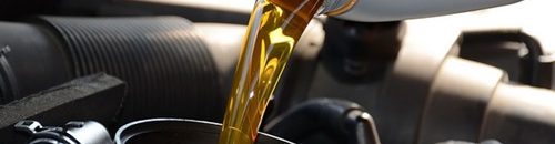 "دراسة": زيت السمك يوقف نمو السرطان بنسبة 50% 10 454545 1