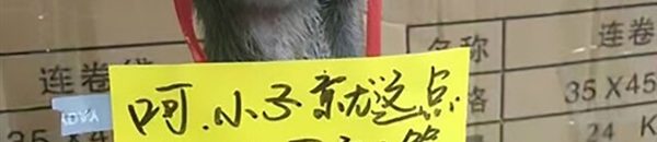 بالفيديو .. فأر يتسلل داخل بنطلون رجل أثناء تناول العشاء بالمطعم 10 905