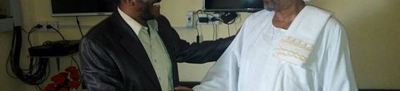 الكودة الجزولي