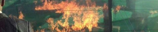 فسائل نخيل3