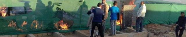 فسائل نخيل4