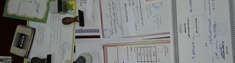 16521968 10208264840758594 1194744898 n