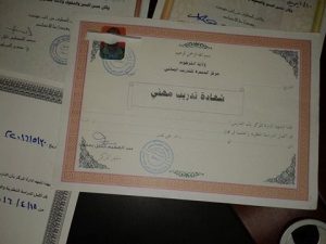 16558467 10208264840838596 1291964475 n