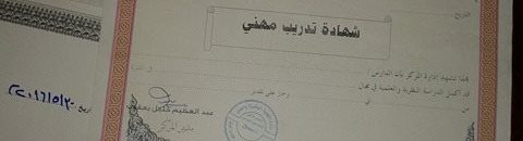 16558467 10208264840838596 1291964475 n