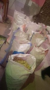 16652040 10208271401082598 1358158855 n