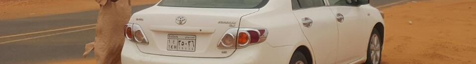 ﺑﺎﻟﺼﻮﺭ .. ﺍﻟﺸﺮﻃﺔ ﺍﻟﺴﻮﺩﺍﻧﻴﺔ ﺗﻌﻴﺪ ﺳﻴﺎﺭﺓ ﻣﺮﺍﺳﻞ ﻗﻨﺎﺓ ﺍﻟﺠﺰﻳﺮﺓ ﺑﺎﻟﺨﺮﻃﻮﻡ ﺑﻌﺪ ﺳﺮﻗﺘﻬﺎ ﻓﻲ ﺃﻗﻞ ﻣﻦ ( 15 ) ﺳﺎﻋﺔ 10 16699831 10208299541106081 1725729171 n