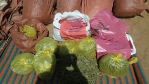 16839659 10208382258333960 387947829 n