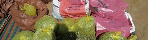 ضبط (50) مليون حبة مخدرة 10 16839659 10208382258333960 387947829 n