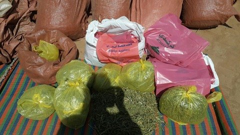 ضبط (50) مليون حبة مخدرة 1 16839659 10208382258333960 387947829 n