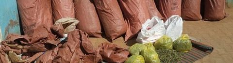 16900270 10208382258413962 1511966360 n