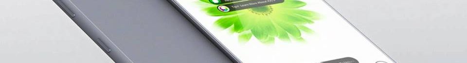 16939253 10155030974679666 7071648001343000498 n