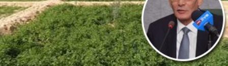 عبد المنعم البنا