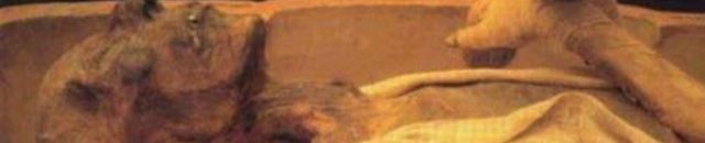 أستاذ بجامعة الأزهر: فرعون لم يكن مصرياً واسمه وليد 10 فرعون