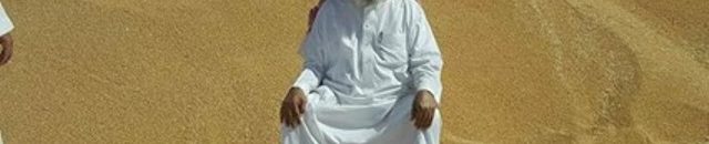 قيادات الدولة تدشن عملية حصاد القمح لمشروع "الراجحي" دعامة الأمن الغذائي العربي 10 الراجحي