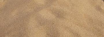 السودان يعلن (2500) جنيه للجوال سعر التركيز لقمح الموسم الشتوي 10 قمح2