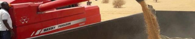 البنك الزراعي ينفي تقديمه لطلب سلفية من شركات الدعم السريع 10 قمح3