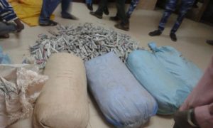 ضبط (41) ألف حبة منشطات جنسية ومانعة حمل بحوزة أخطر (11) تاجر مخدرات 3 WhatsApp Image 2017 03 11 at 10.22.09 AM