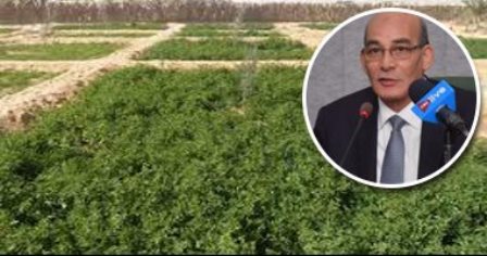 من "الزراعة" و"الرى" في مصر إلى السودان: صادراتنا سليمة.. مياه النيل نقية من أسوان للإسكندرية 1 عبد المنعم البنا