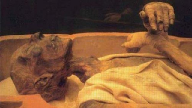 أستاذ بجامعة الأزهر: فرعون لم يكن مصرياً واسمه وليد 1 فرعون