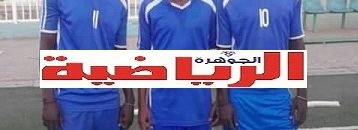 التوأم