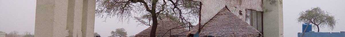 مزارعون بالنيل الازرق يطالبون بوقف الاعتداءات على محمية الدندر 10 الدندر5