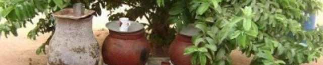 "الزير".. "ثلاجة الفقراء" في صيف السودان الحارق 10 الزير