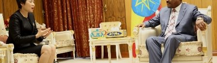 ديسالين طيران