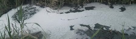 صادرات مصر تفقد 7 أسواق عالمية.. و4 مليارات دولار «فاتورة الخسارة» في عام 10 صرف صحي