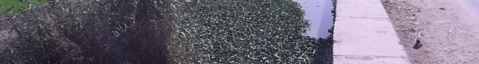 مجلس البيئة يعكف على معالجات جذرية لمشاكل الصرف الصحي 10 صرف4