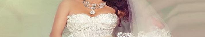 ما حقيقة زواج هيفا وهبي من إبن أحمد صيام؟ 10 هيفا