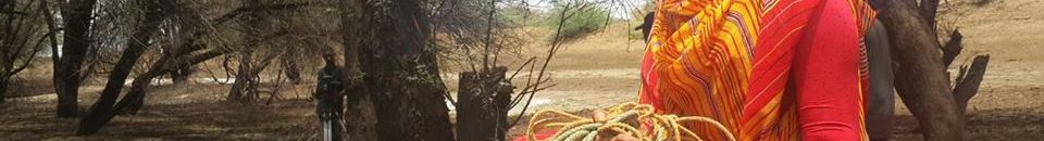 16427221 1509699682408684 4220032858801241764 n