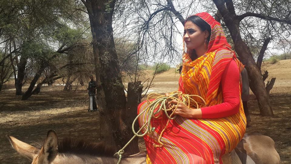 16427221 1509699682408684 4220032858801241764 n