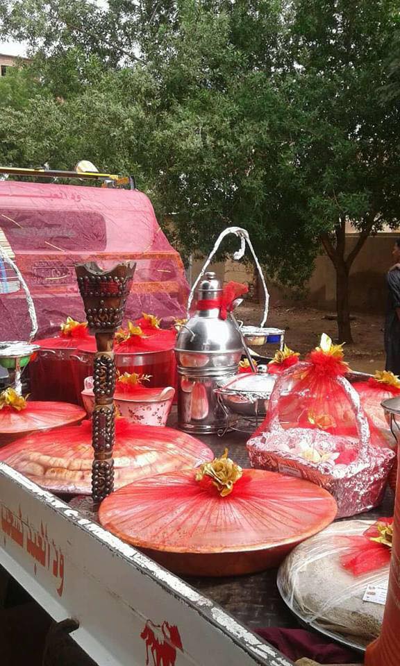 17634483 767511446747621 1147209089767034546 n