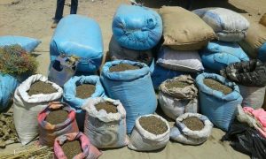 بالصور .. لأول مرة .. الشرطة السودانية تطوق حظيرة الردوم وتدمر مخازن بذور القنب الهندي وتضبط (20) طنا 2 17974146 10208811857913681 1411288001 n