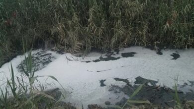 صرف صحي e1691226872984