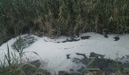 صادرات مصر تفقد 7 أسواق عالمية.. و4 مليارات دولار «فاتورة الخسارة» في عام 1 صرف صحي e1691226872984